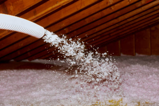 Best Commercial Insulation Contractor  in Sanger, TX