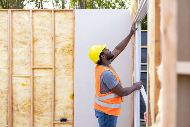 Best Insulation Replacement Services  in Sanger, TX