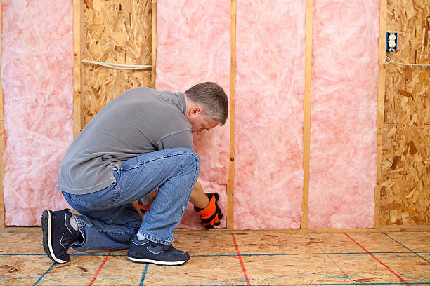 Best Home Insulation Services  in Sanger, TX