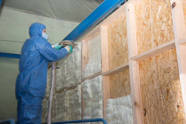 Best Crawl Space Insulation  in Sanger, TX