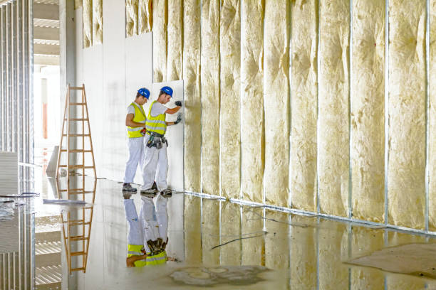 Best Insulation Replacement Services  in Sanger, TX